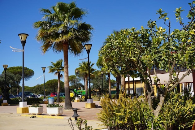 Gallery - Nazaret De Moguer