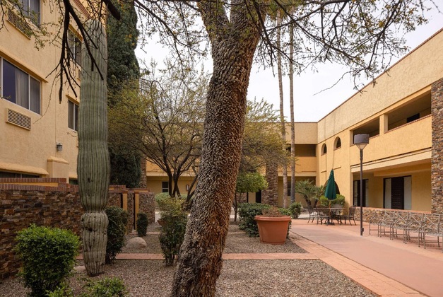 Gallery - La Quinta Inn & Suites By Wyndham Tucson - Reid Park