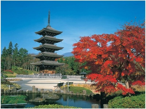 Gallery - Hotel Jal City Sendai
