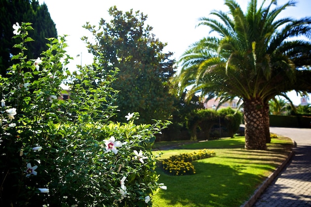 Gallery - Severino José