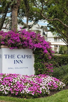 Gallery - The Capri Inn