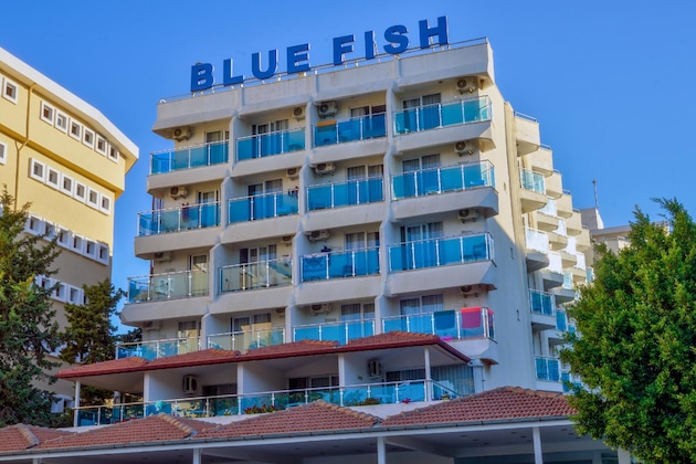 Gallery - Blue Fish Hotel