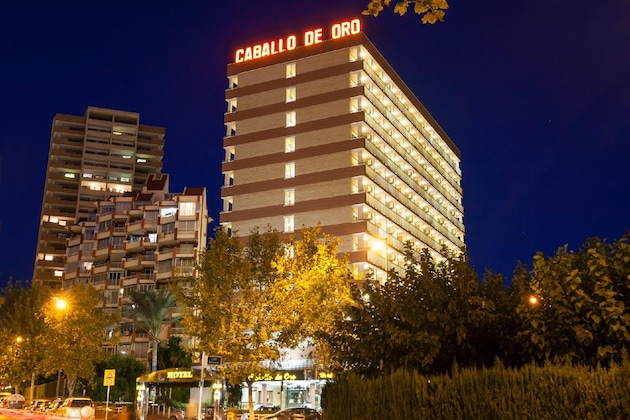 Gallery - Hotel Caballo De Oro