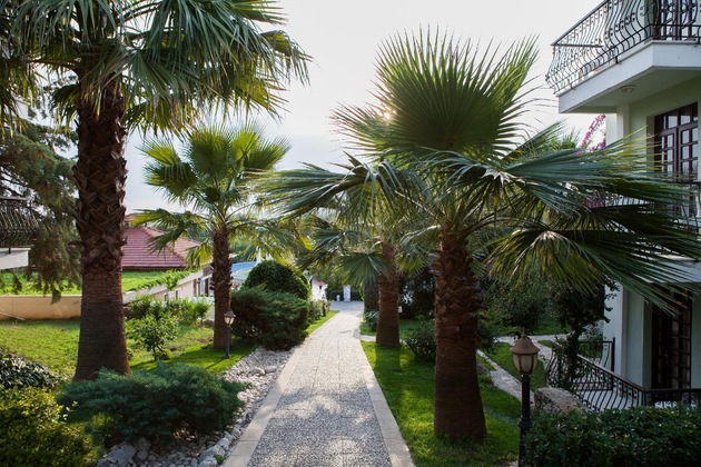 Gallery - Hotel Greenland – All Inclusive