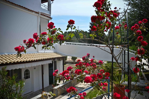 Gallery - Katia Beach Hotel