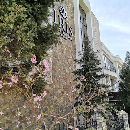 Gallery - Iris Hotel & Spa