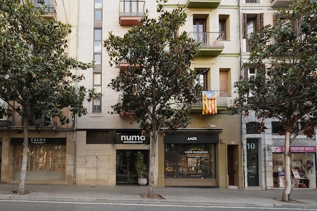 Gallery - Numa Barcelona Brio