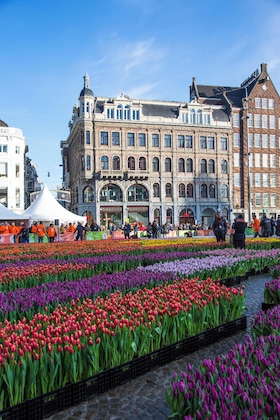 Gallery - Maison Elle Amsterdam