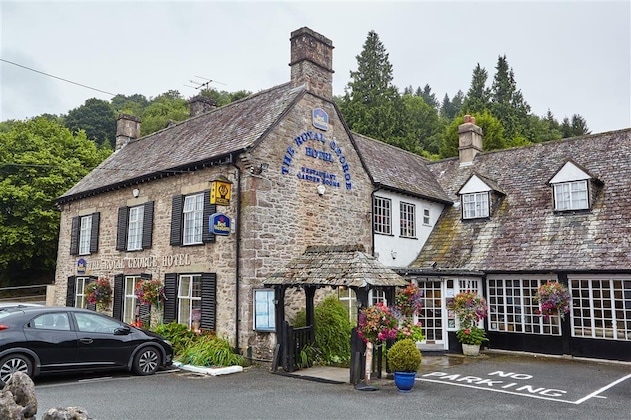 Gallery - The Wild Hare