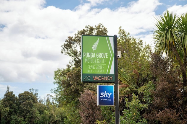 Gallery - Punga Grove