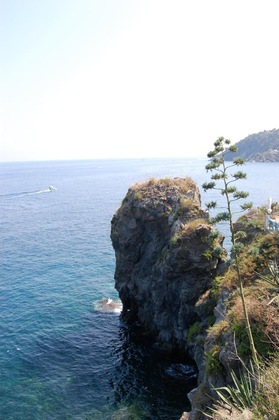 Gallery - Giardino Sul Mare