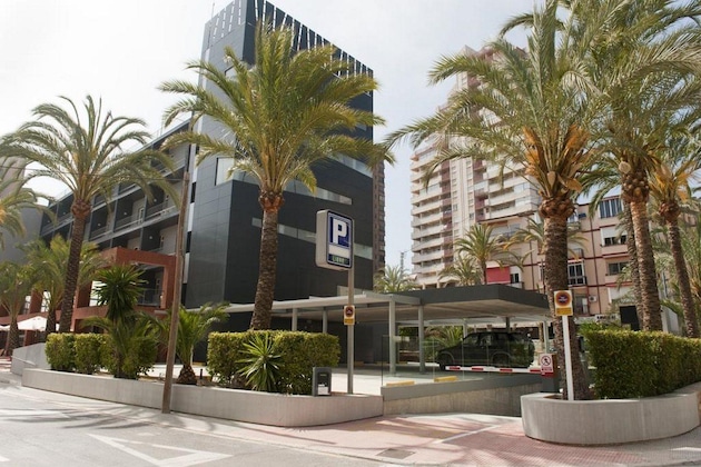 Gallery - Hotel El Palmeral