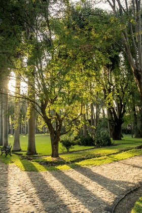 Gallery - Hacienda San Gabriel De Las Palmas