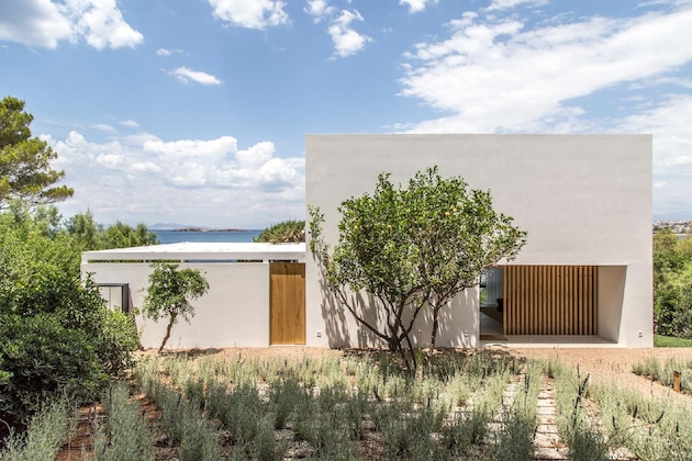 Gallery - The Margi