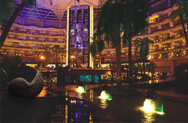 Gallery - Sahara Star