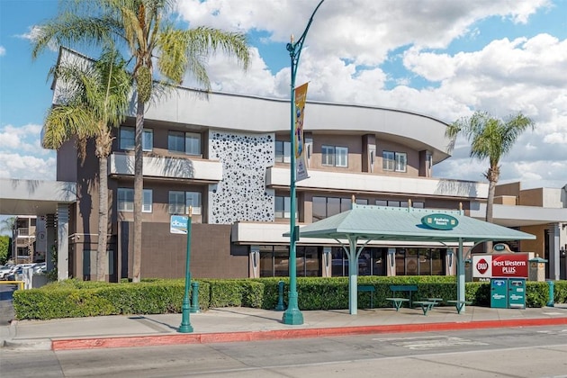 Gallery - Best Western Plus Park Place Inn & Mini Suites