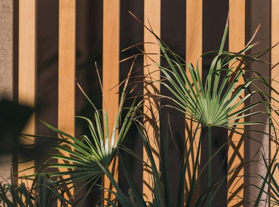 Gallery - The Nest Resort