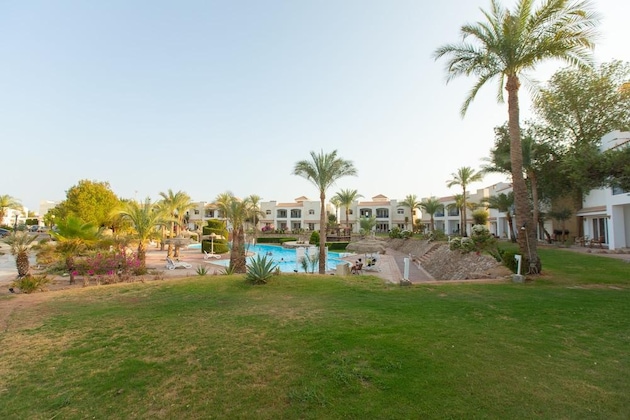 Gallery - Naama Bay Hotel & Resort
