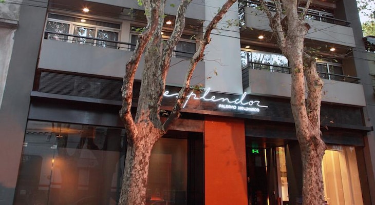 Gallery - Daiban Flats Palermo Hollywood