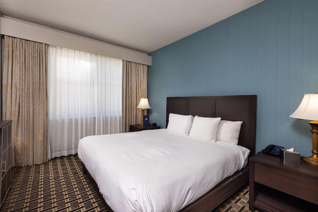 Gallery - Inn At The Colonnade Baltimore - A Doubletree By Hilton Hotel