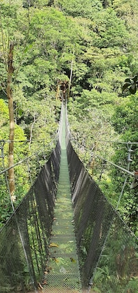 Gallery - Hotel Divisamar By Lhr