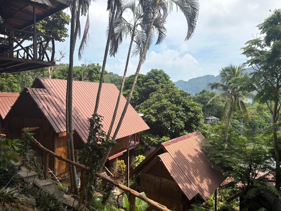 Gallery - Phi Phi Ingphu Viewpoint