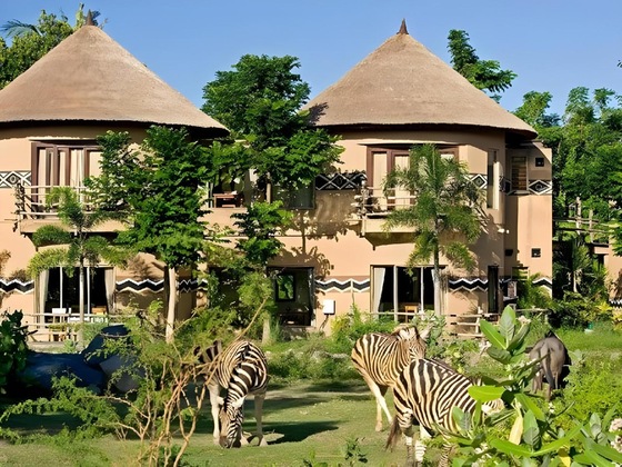 Gallery - Mara River Safari Lodge