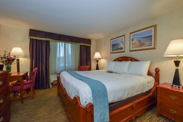 Gallery - Anchor Inn