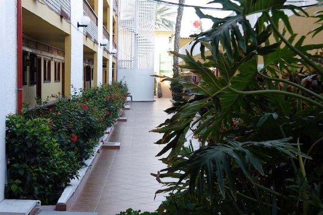 Gallery - Apartamentos Los Tilos