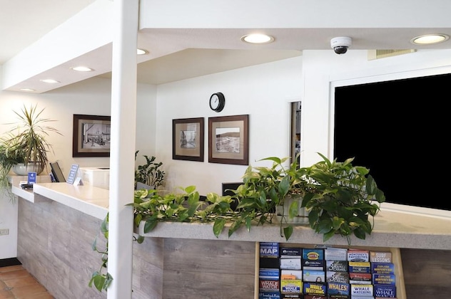 Gallery - The Stevenson Monterey