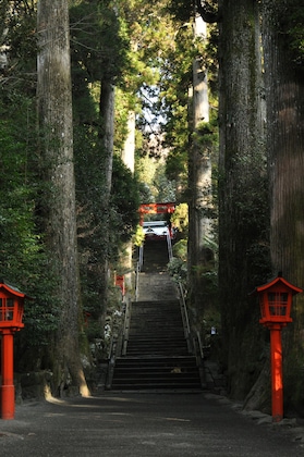 Gallery - Ryuguden