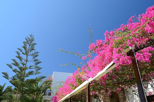 Gallery - Asteri Hotel