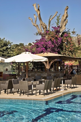 Gallery - Crithoni's Paradise Hotel