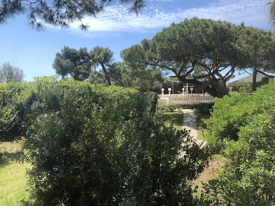 Gallery - Domizia Palace Hotel