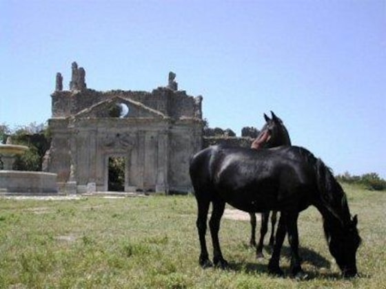 Gallery - Villa Clementina