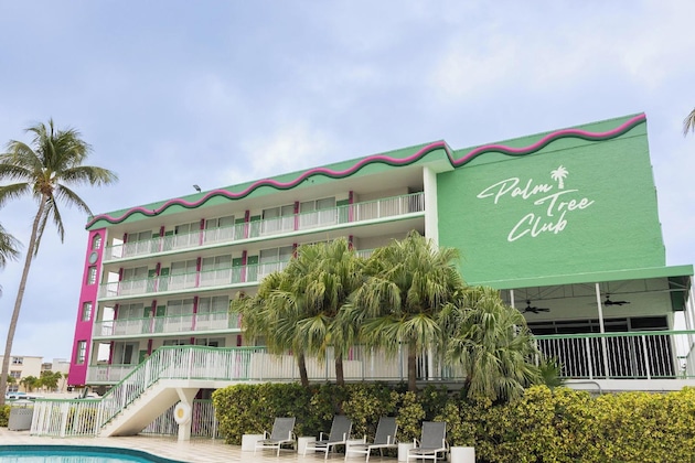 Gallery - Palm Tree Club Miami