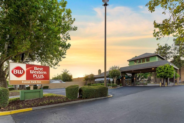 Gallery - Best Western Plus Forest Park Inn