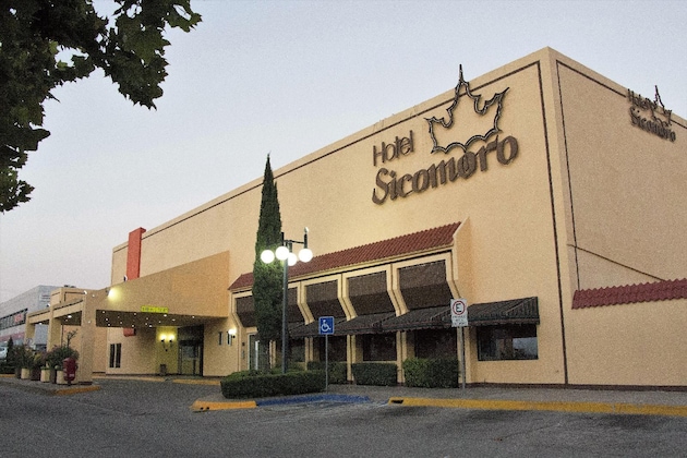 Gallery - Hotel Sicomoro