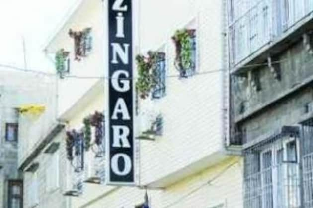 Gallery - Zingaro