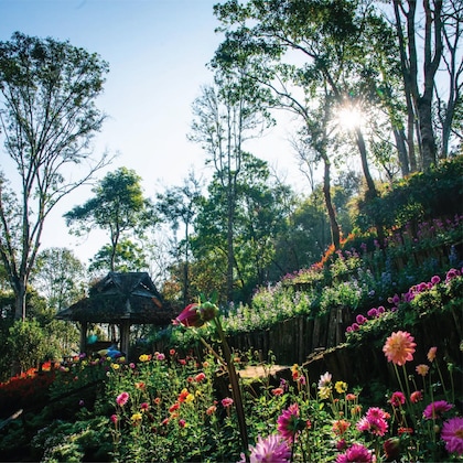 Gallery - Doi Tung Lodge