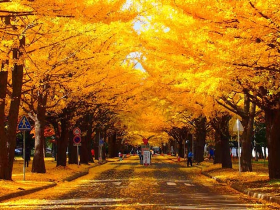 Gallery - Toyoko Inn Hokkaido Sapporo Station Nishi Hokudai Mae