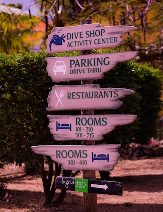 Gallery - Buddy Dive Resort