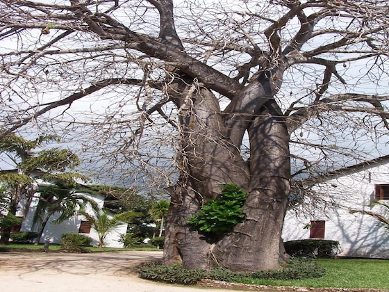 Gallery - Pinewood Beach Resort & Spa