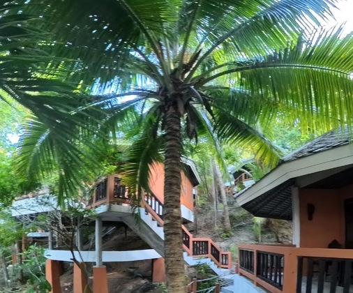 Gallery - The Hideaway Pariya Haad Yuan Ko Pha-Ngan