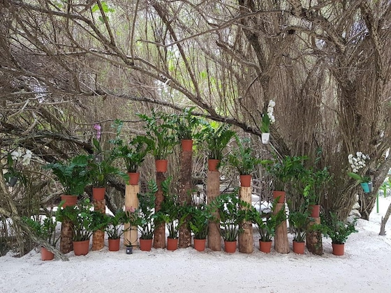 Gallery - Makunudu Island