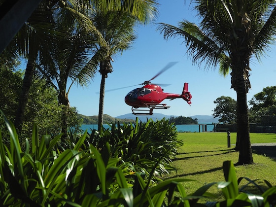 Gallery - Qualia