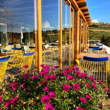 Gallery - San Antonio Summerland