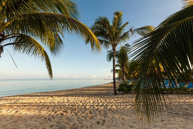 Gallery - Allegro Cozumel