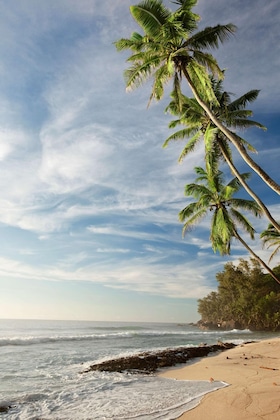 Gallery - Hilton Seychelles Labriz Resort & Spa