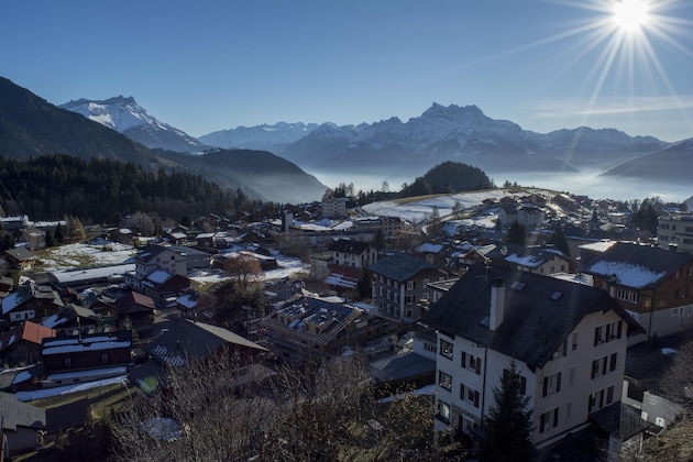 Gallery - Alpine Classic Hotel